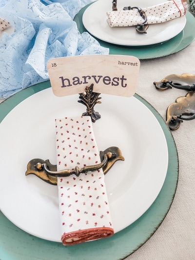 Napkin Ring Alternative