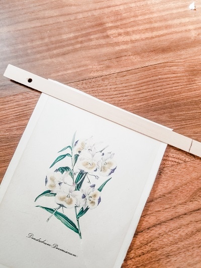 update a thrifted framed botanical print