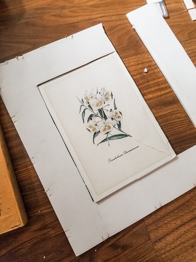 update a thrifted framed botanical print