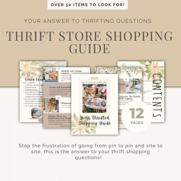 Thrift Store Shopping Guide