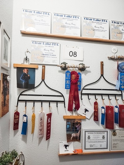 Ribbon and Certificate Gallery Wall