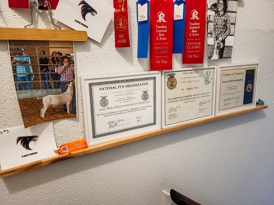 Award Gallery Wall