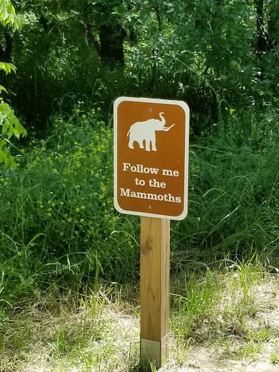 Follow Me to the Mammoths Sign