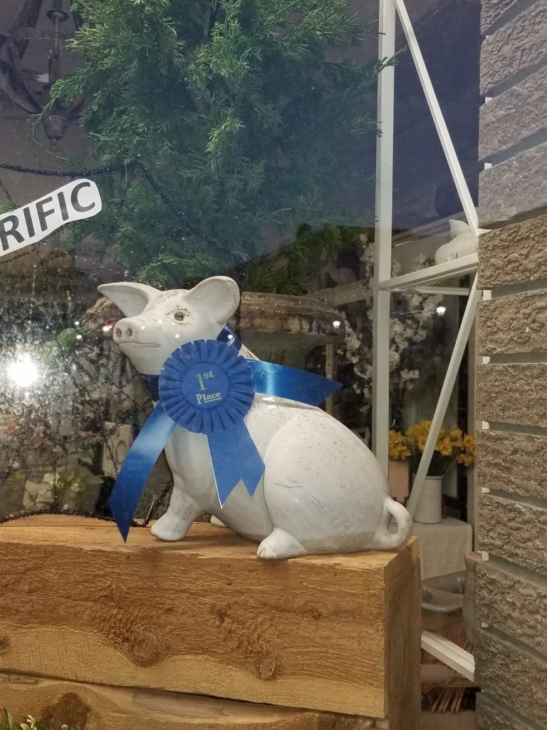 1st place pig in a window