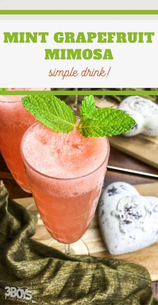 Pink mimosa in glass with basil
