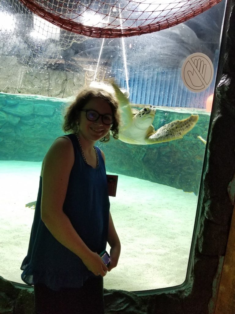 Sea Turtle Display at Sealife Aquarium in Grapevine