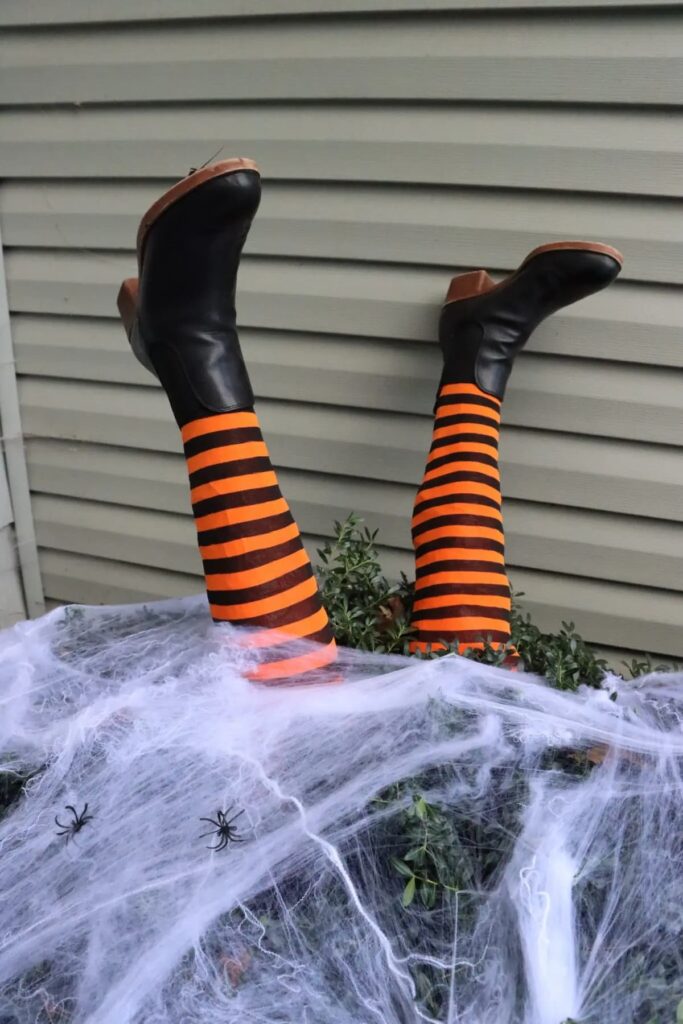 faux witch legs in black and orange tights in a bush