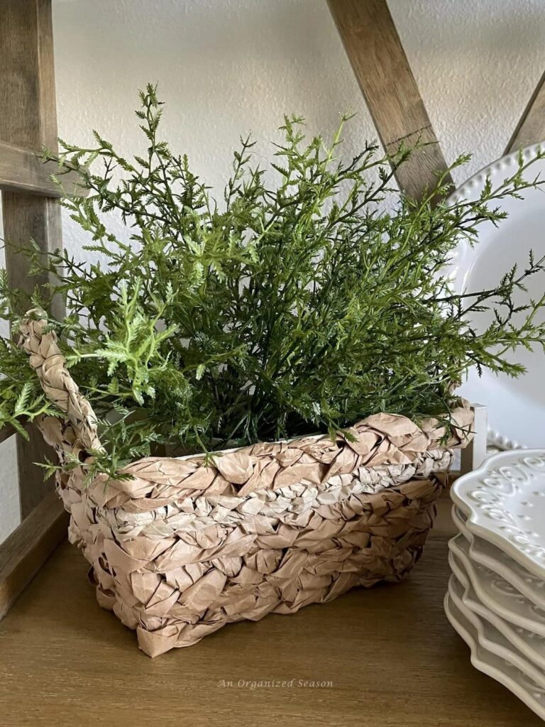 basket with plant