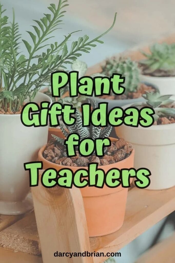 graphic with plants for teachers