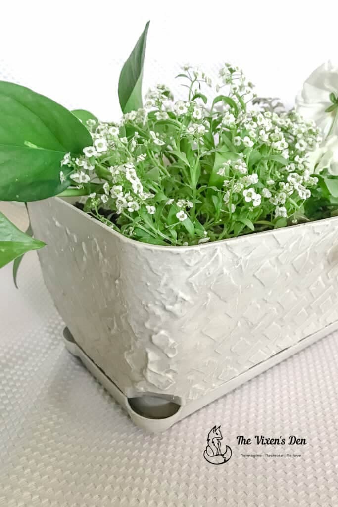 green plant in white planter