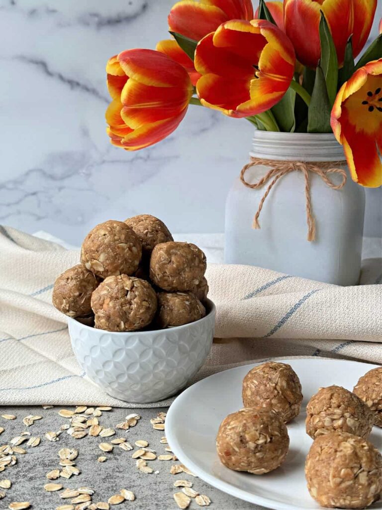 brown oatmeal balls in white bowl