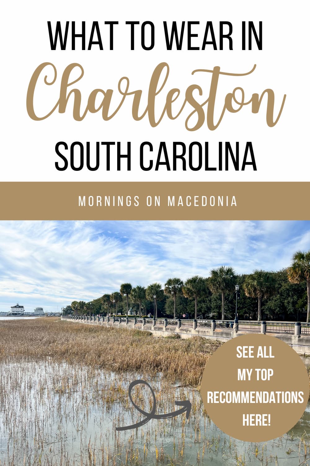 Pinterest graphic of Charleston