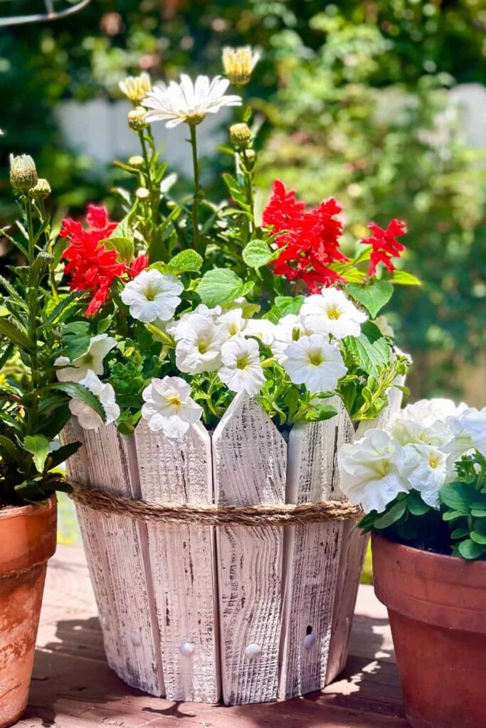 red white flowers in wooden planter