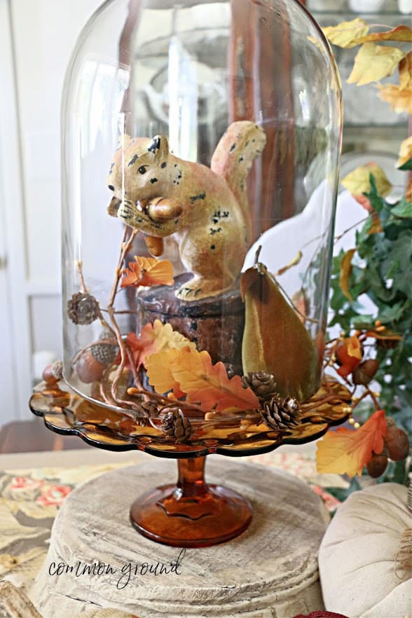 squirrel inside glass cloche