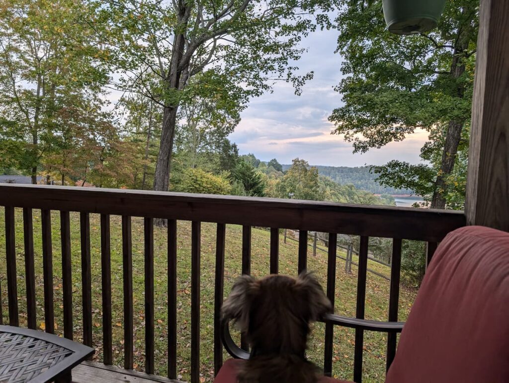 view from Tennessee back porch