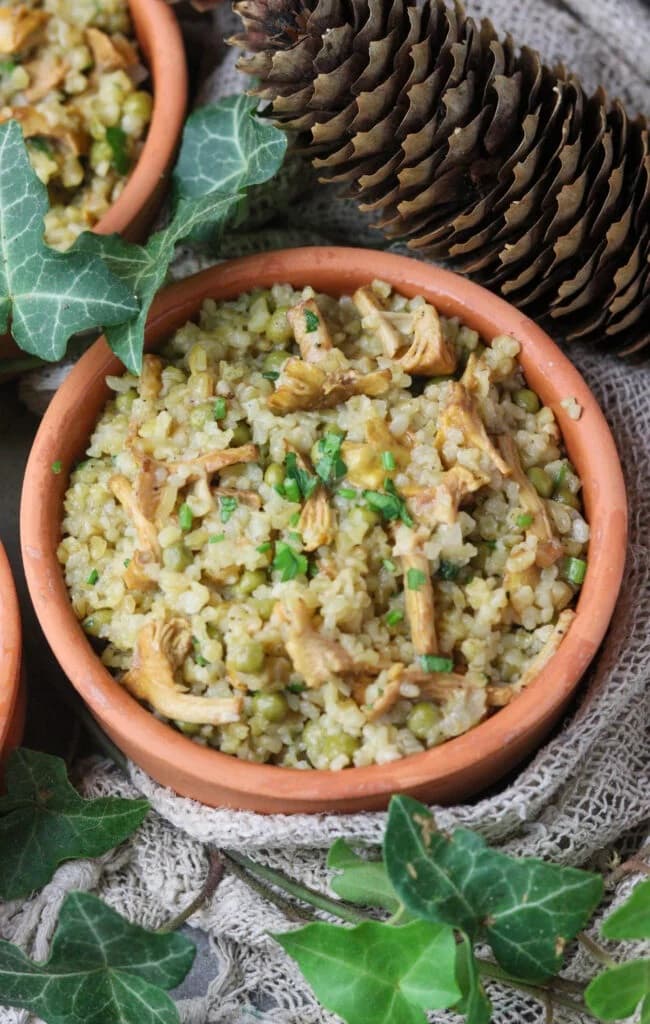 bowl of grains and mushrooms