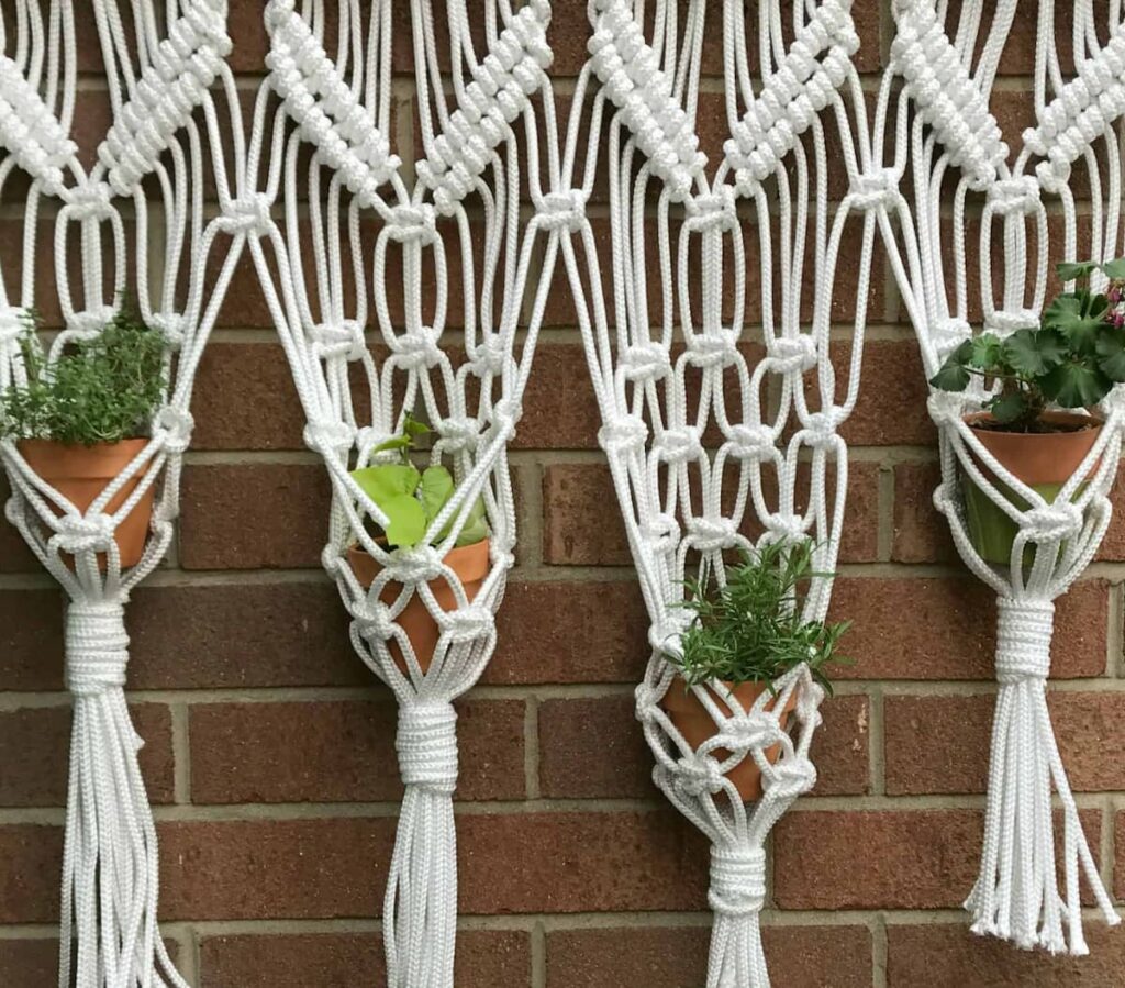 macrame hangers with plants