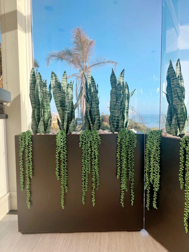 plants in brown planter