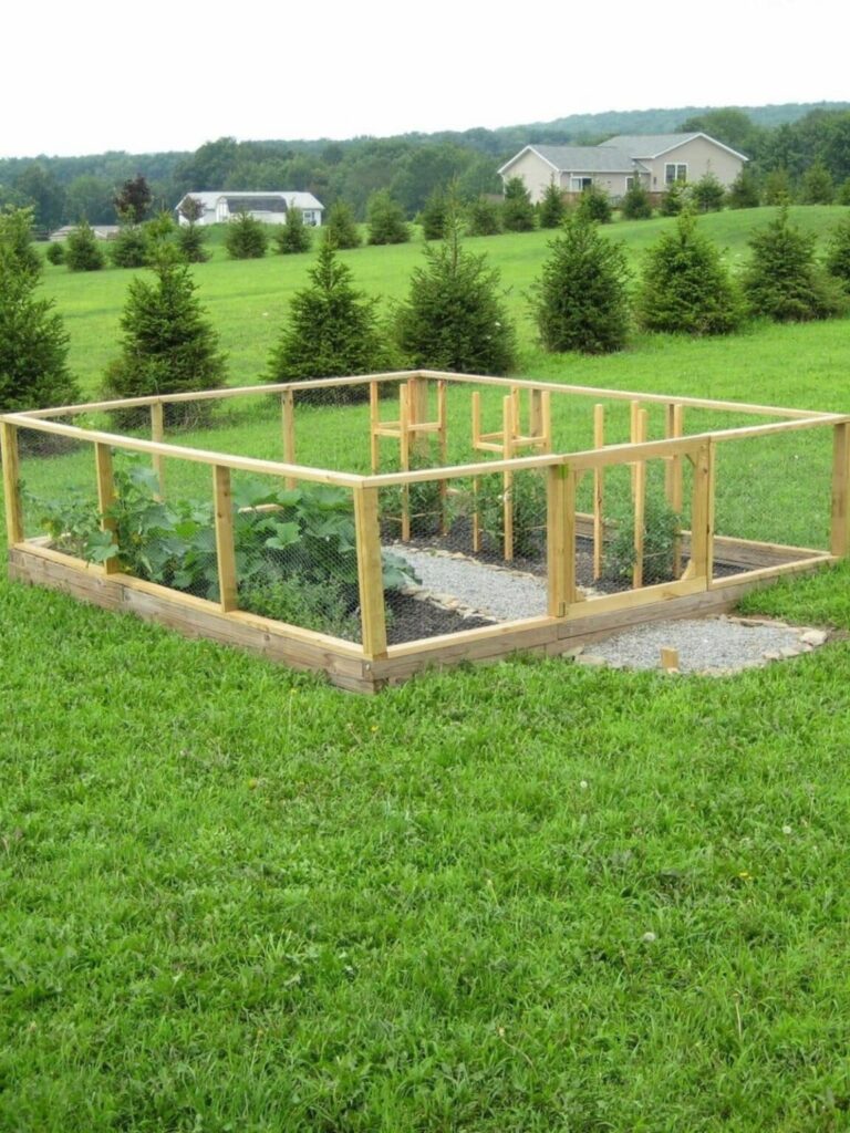 garden with fence