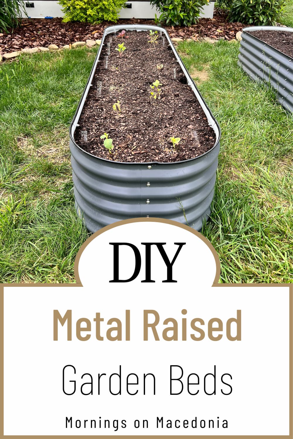 metal raised garden bed