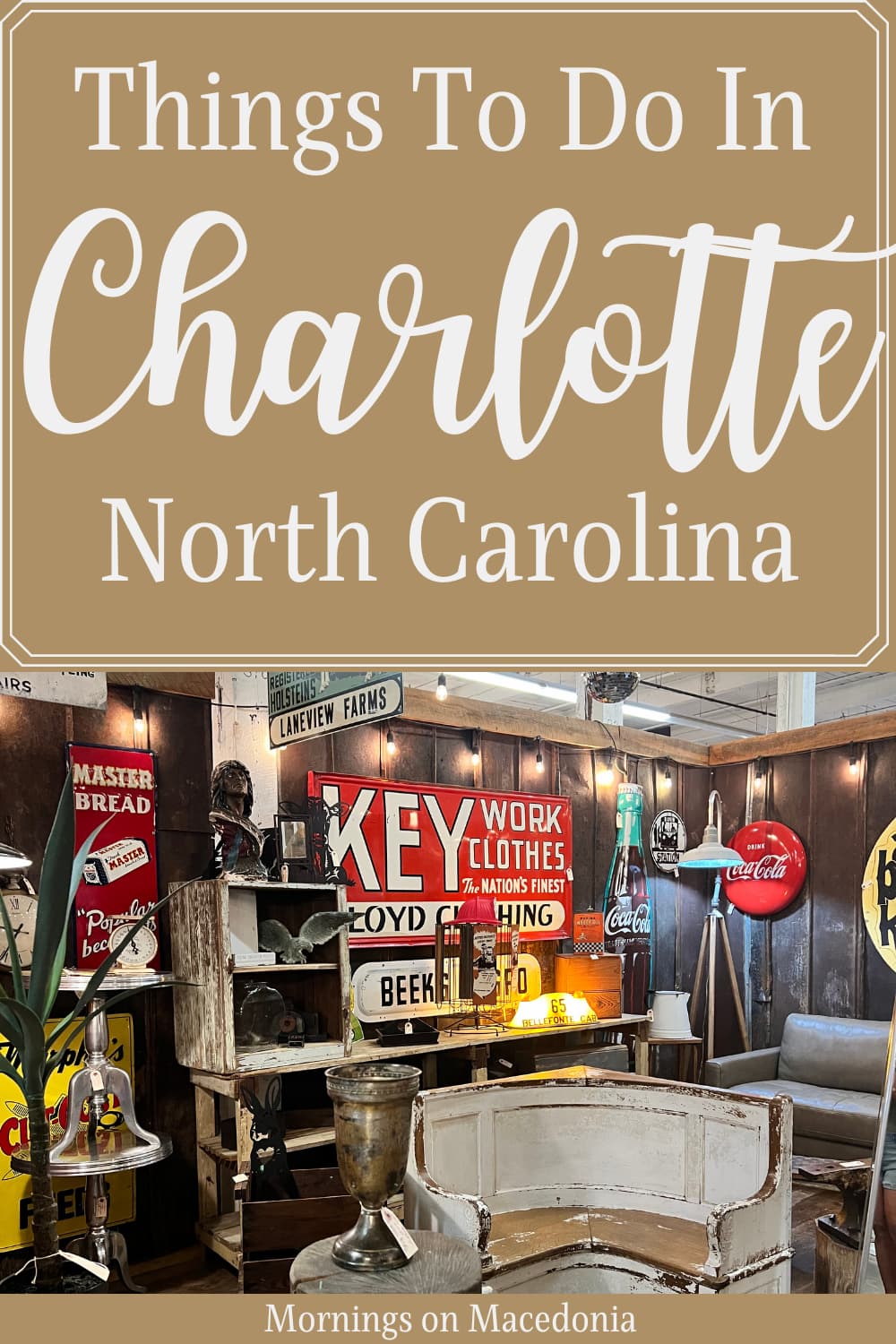 charlotte visit graphic