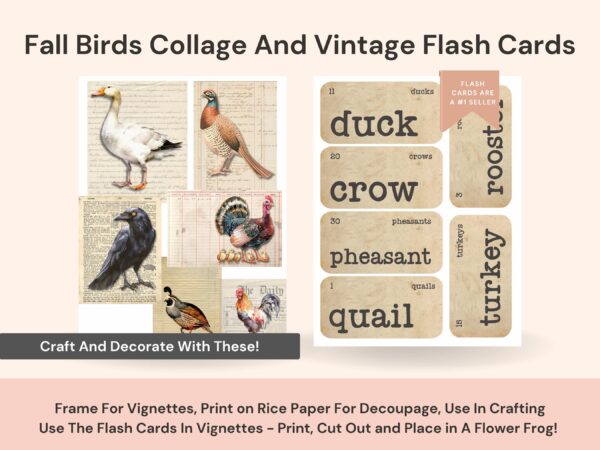 Download the printable fall birds collage and vintage flash cards. Craft or frame the different bird images, create beautiful vignettes with the flashcards.