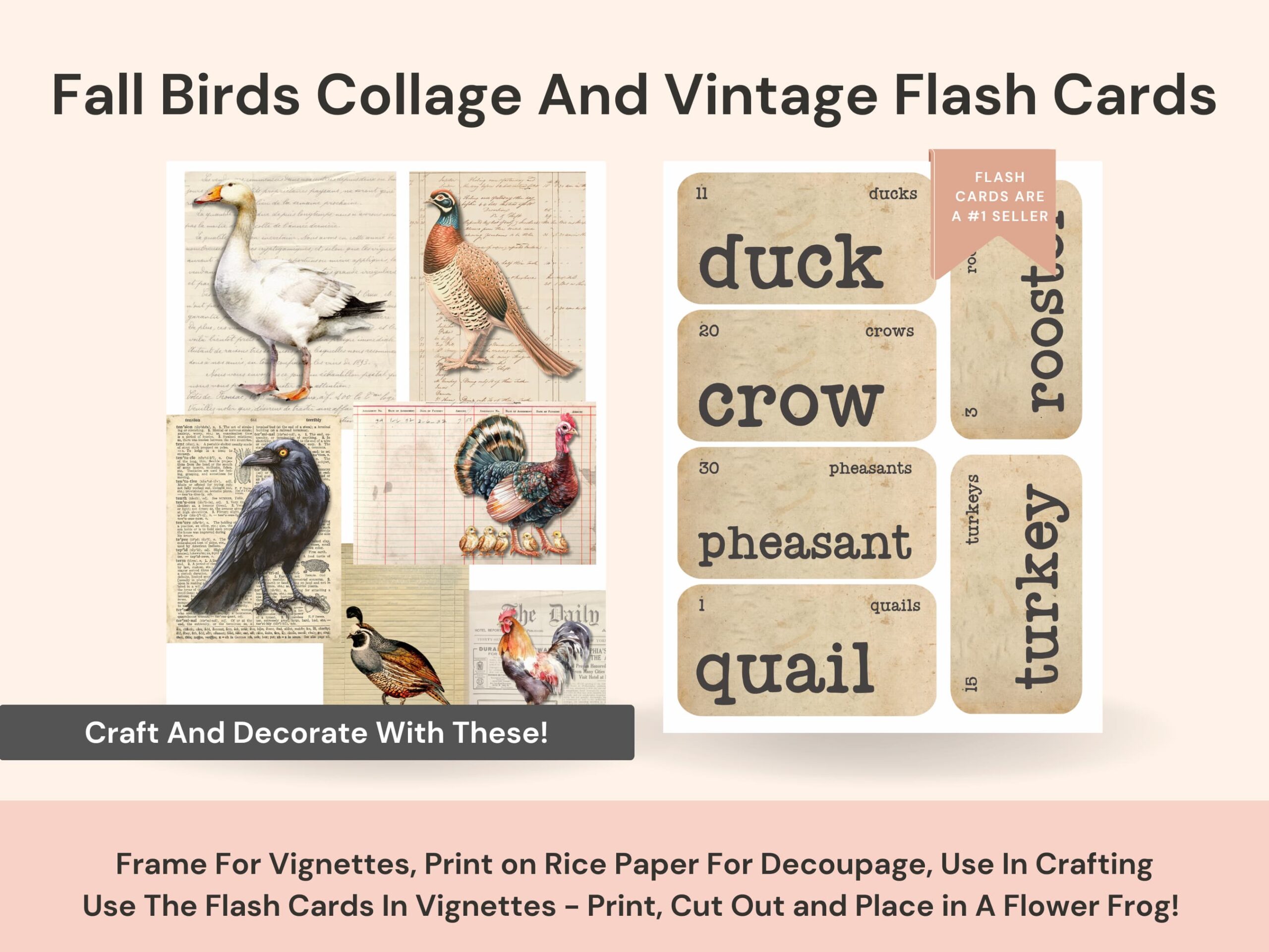 Download the printable fall birds collage and vintage flash cards. Craft or frame the different bird images, create beautiful vignettes with the flashcards.