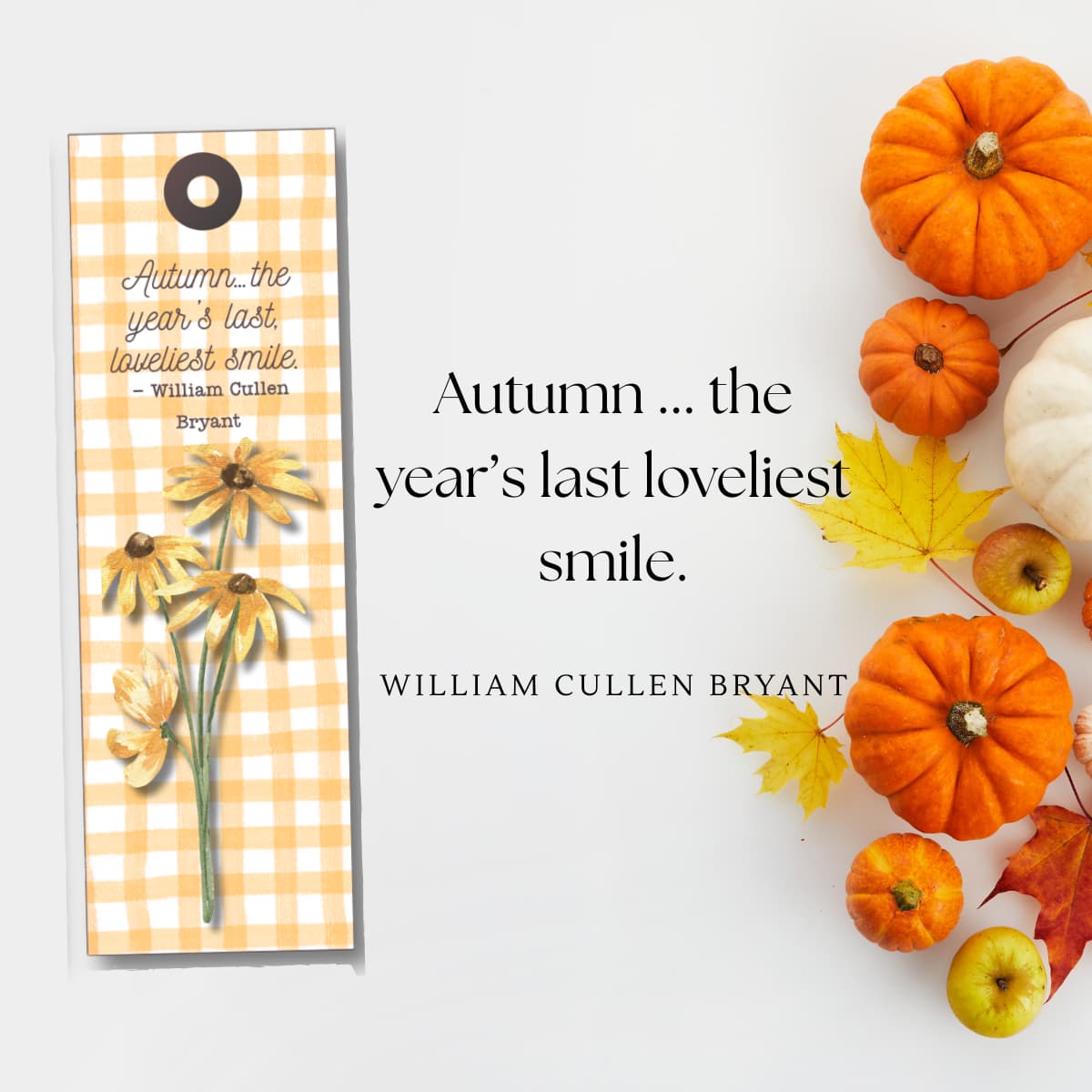 In this post I'm sharing beautiful Fall and Autumn quotes to celebrate the season. Free printables to enjoy these quotes all season long.
