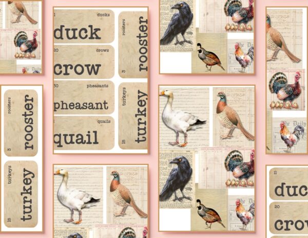 Download the printable fall birds collage and vintage flash cards. Craft or frame the different bird images, create beautiful vignettes with the flashcards.