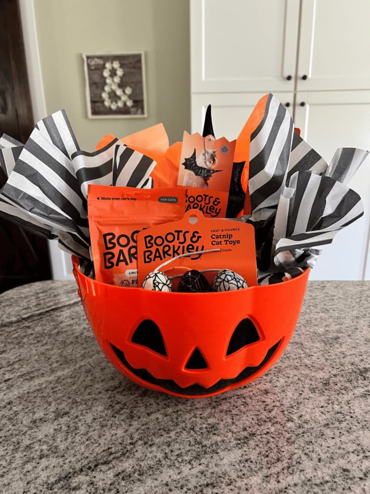 jack o lantern bowl