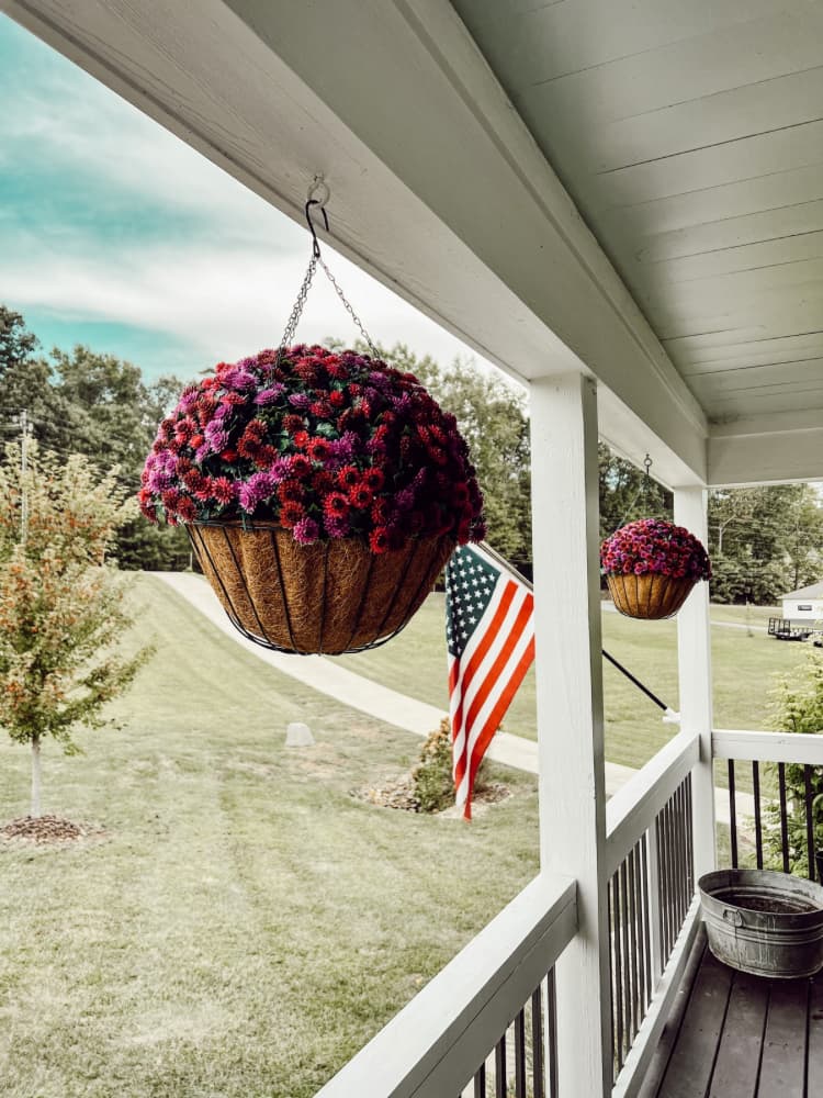 hanging basket of mums