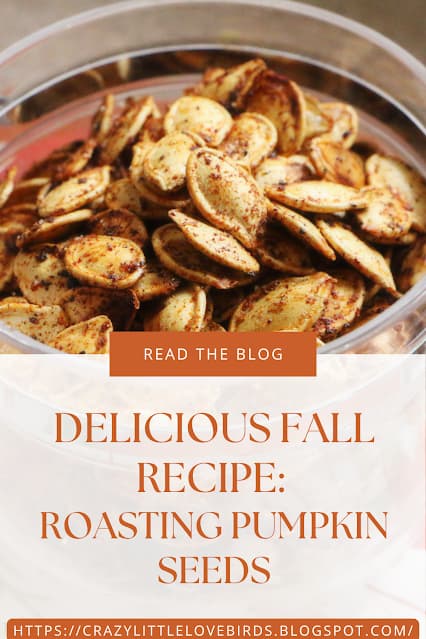 pumpkin seeds