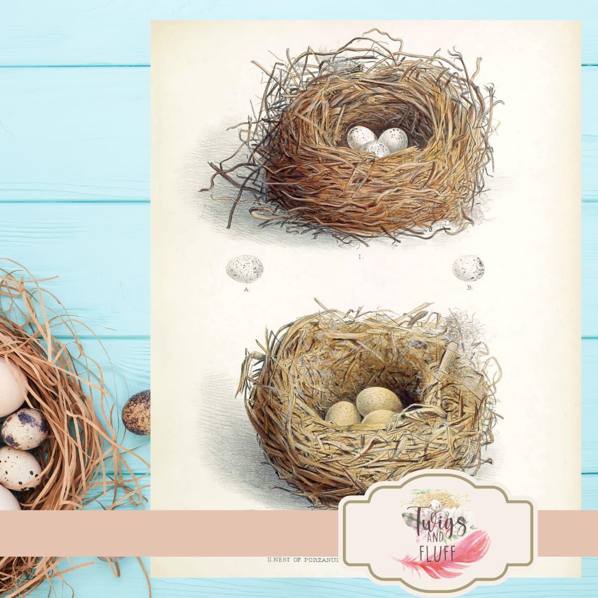 botanical nest printable