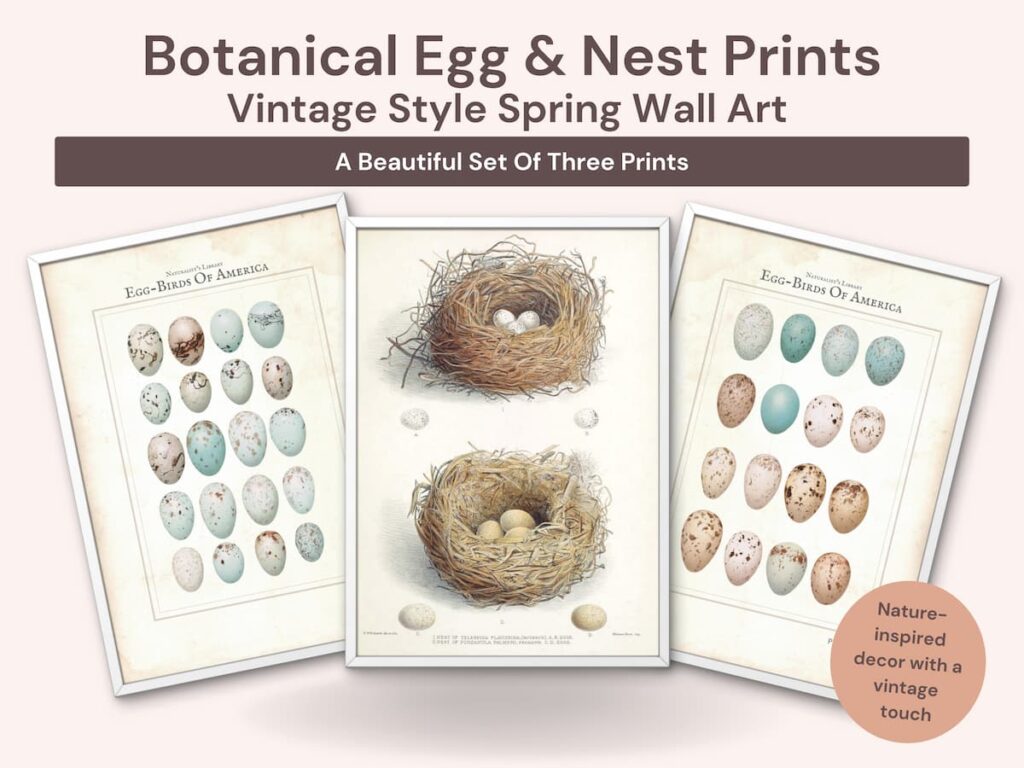 Botanical egg and nest prints