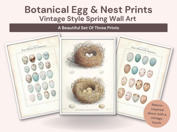 Botanical egg and nest prints