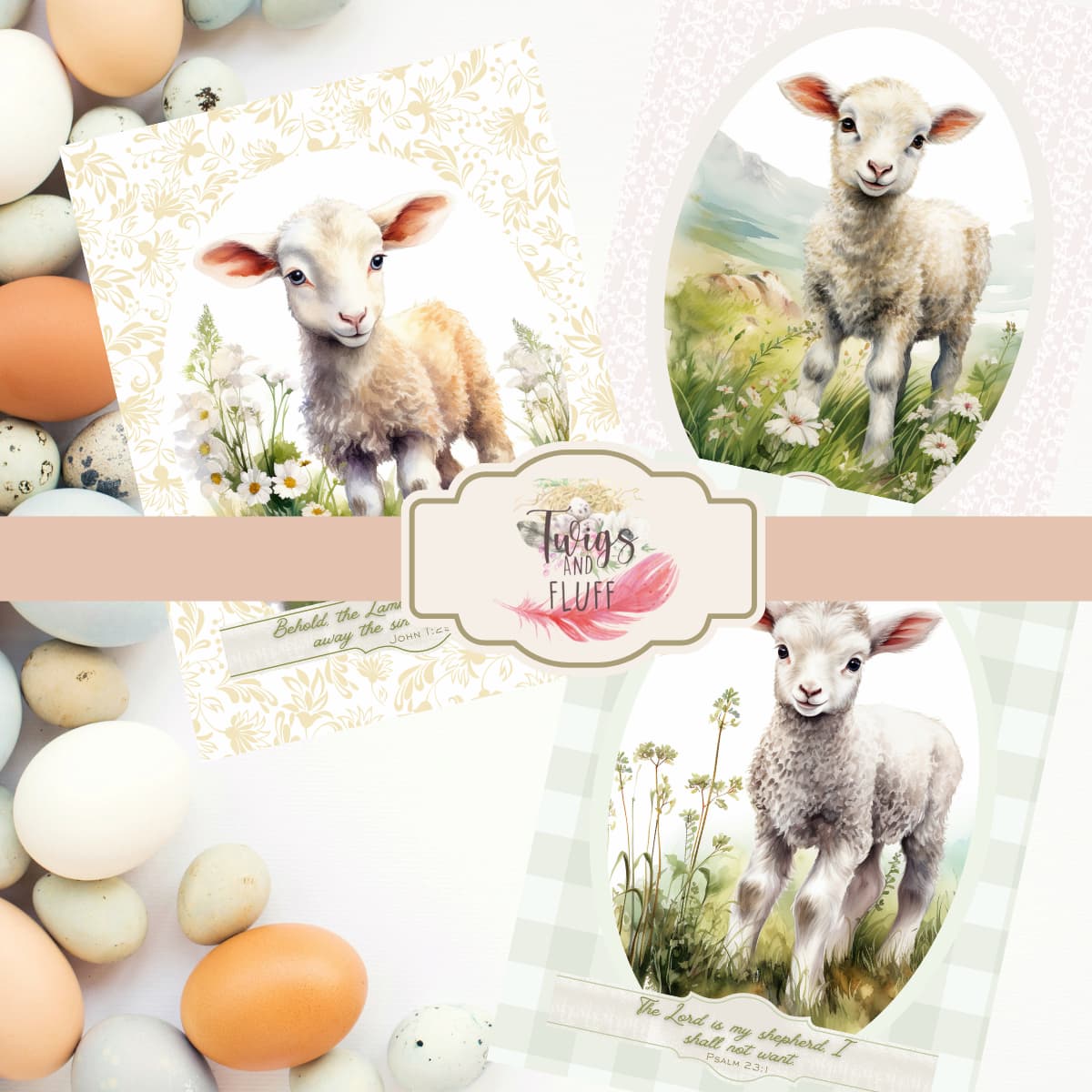 sheep and bible verse