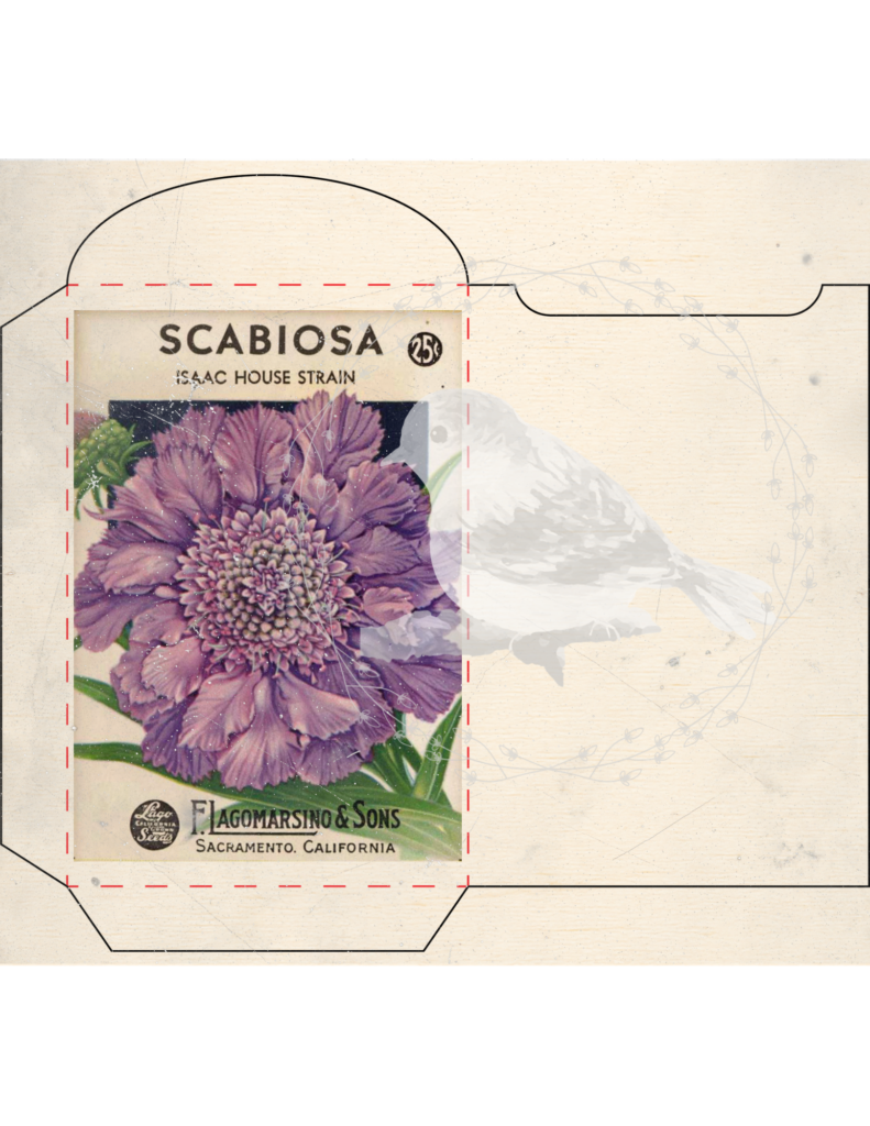 Vintage seed packet printable set styled for junk journaling and spring decor