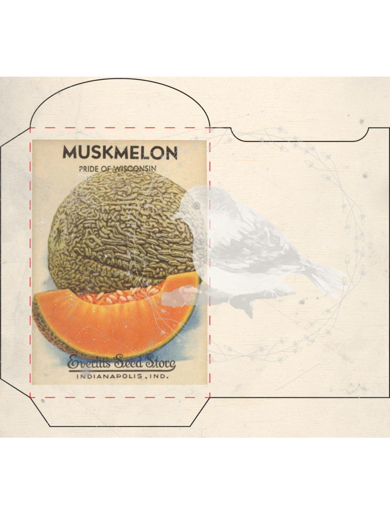 Vintage seed packet printable set styled for junk journaling and spring decor