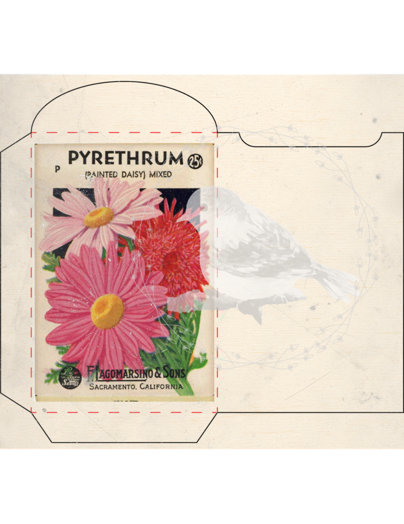 Vintage seed packet printable set styled for junk journaling and spring decor