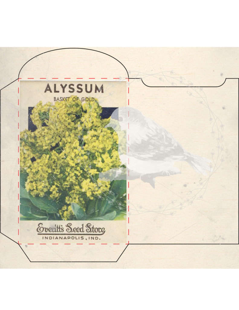 Vintage seed packet printable set styled for junk journaling and spring decor