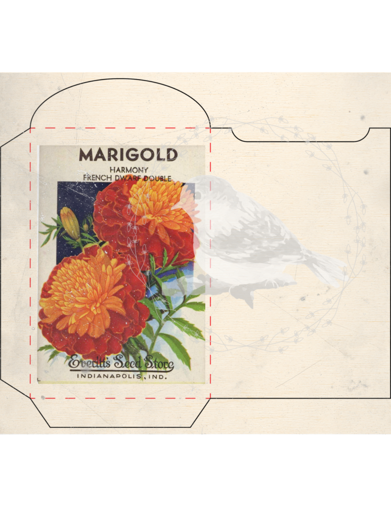 Vintage seed packet printable set styled for junk journaling and spring decor