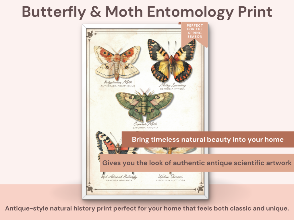 Vintage insect wall art printable with butterflies moths and dragonfly natural history illustration