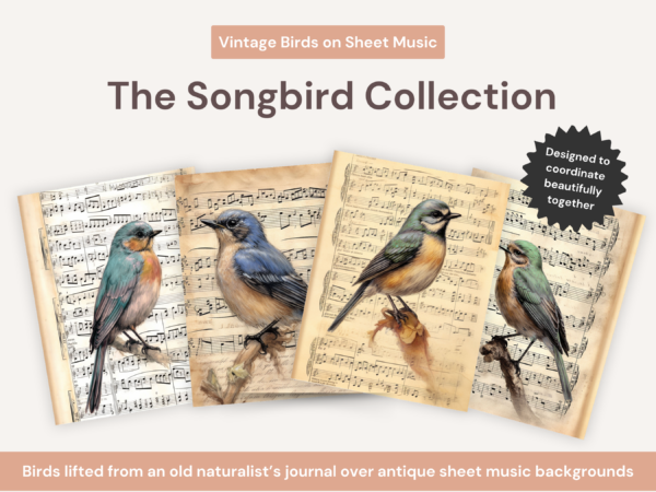 birds on music paper