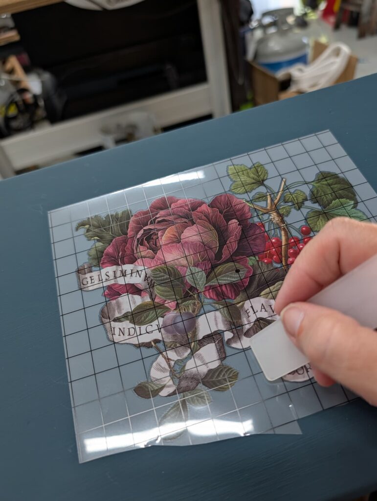 Rubbing On Clementine Transfer