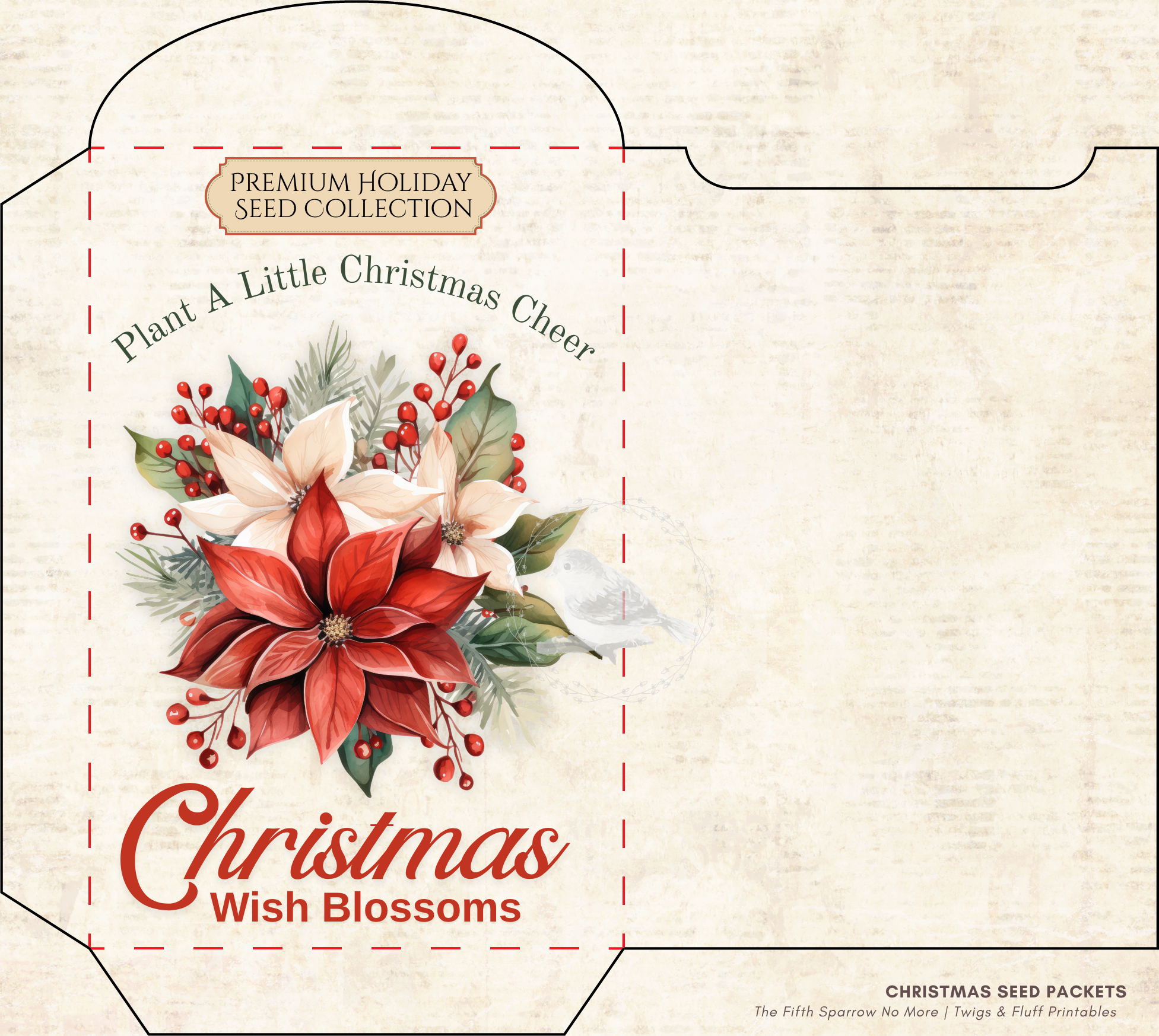 Vintage Christmas seed packet printable set featuring Candy Cane Mint, Christmas Wish Blossoms, North Pole Evergreen Seeds, Reindeer Meadow Clover, and Santa's Magic Snowflakes for holiday crafts and junk journals.