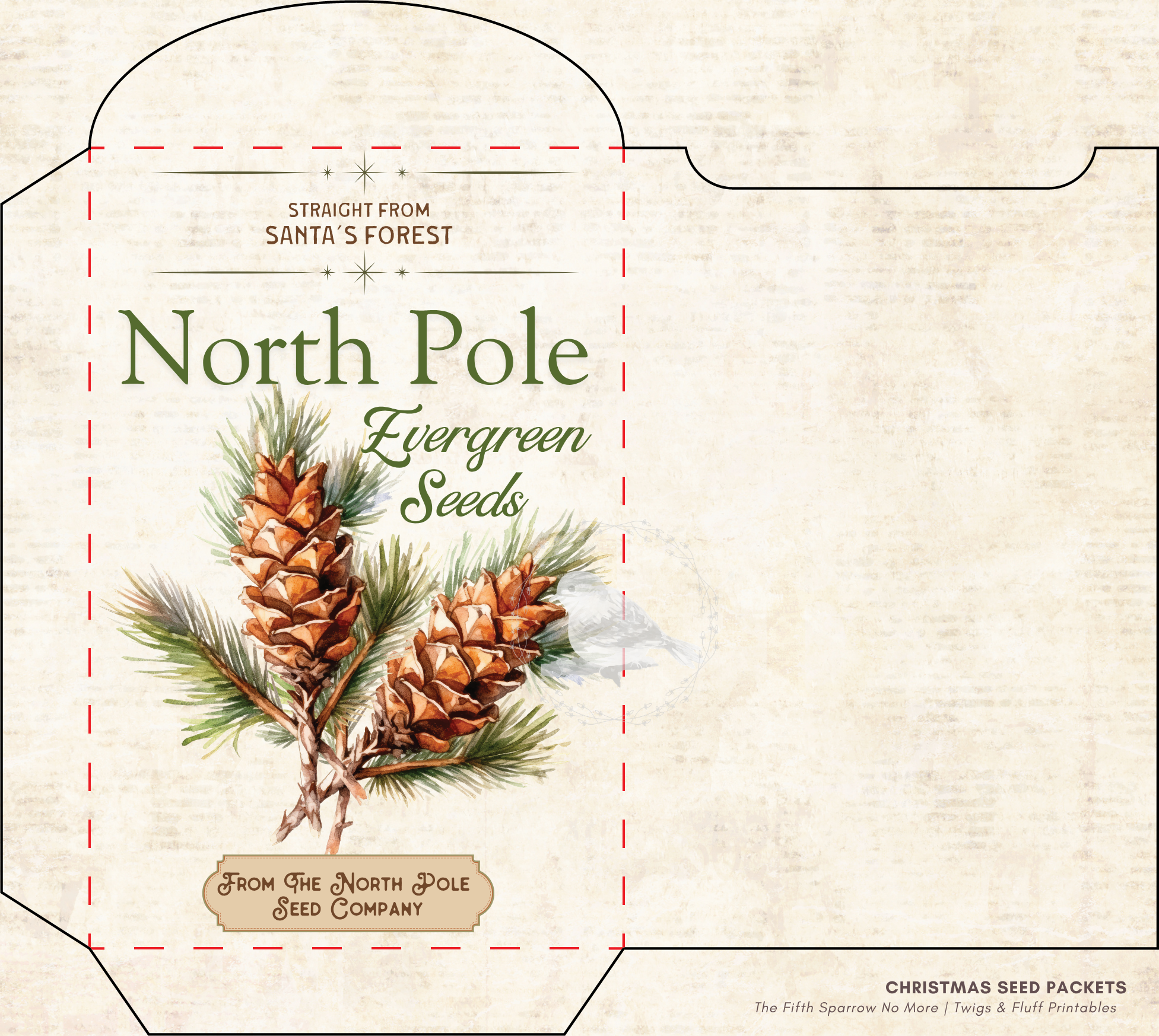 Vintage Christmas seed packet printable set featuring Candy Cane Mint, Christmas Wish Blossoms, North Pole Evergreen Seeds, Reindeer Meadow Clover, and Santa's Magic Snowflakes for holiday crafts and junk journals.